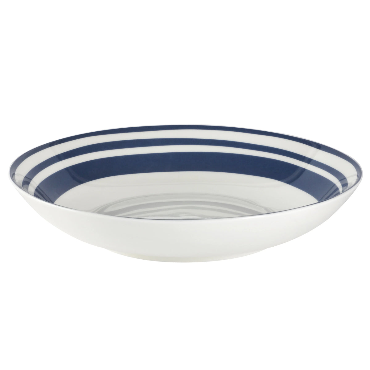 Light Blue 16-Pieces Fine China Dinnerware Set K778