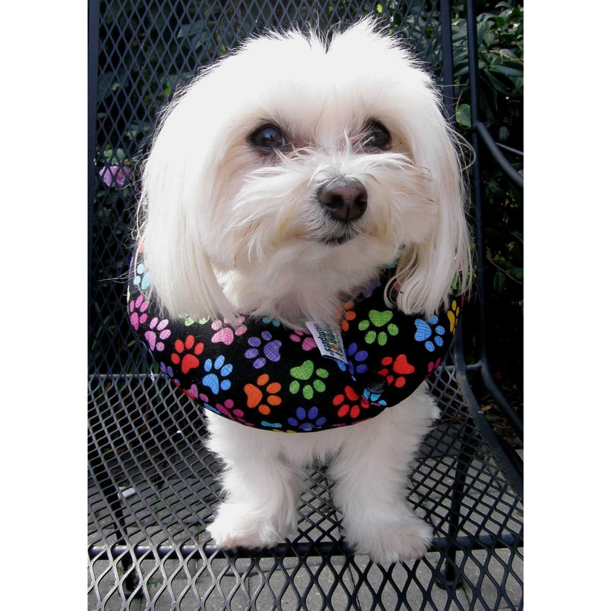Dog Fence Bumper R7933