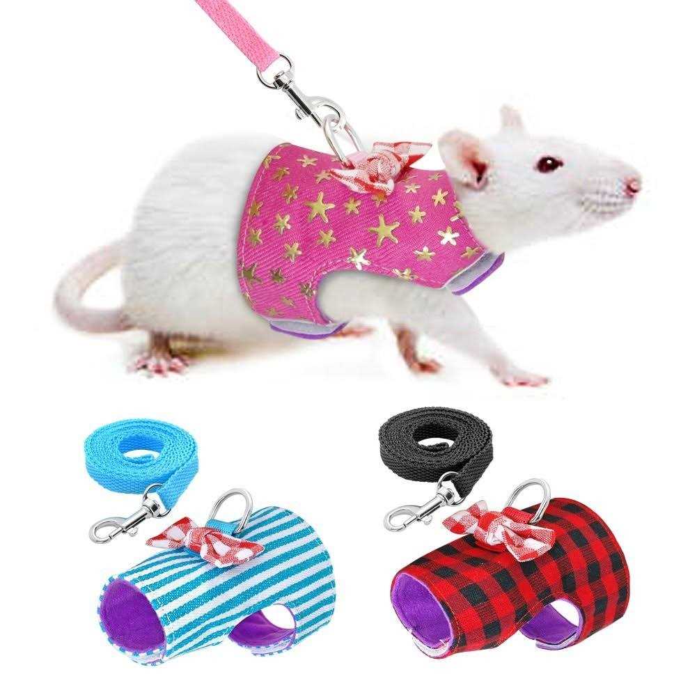 Small Pet Outdoor Walking Harness Vest and Leash Set B561929