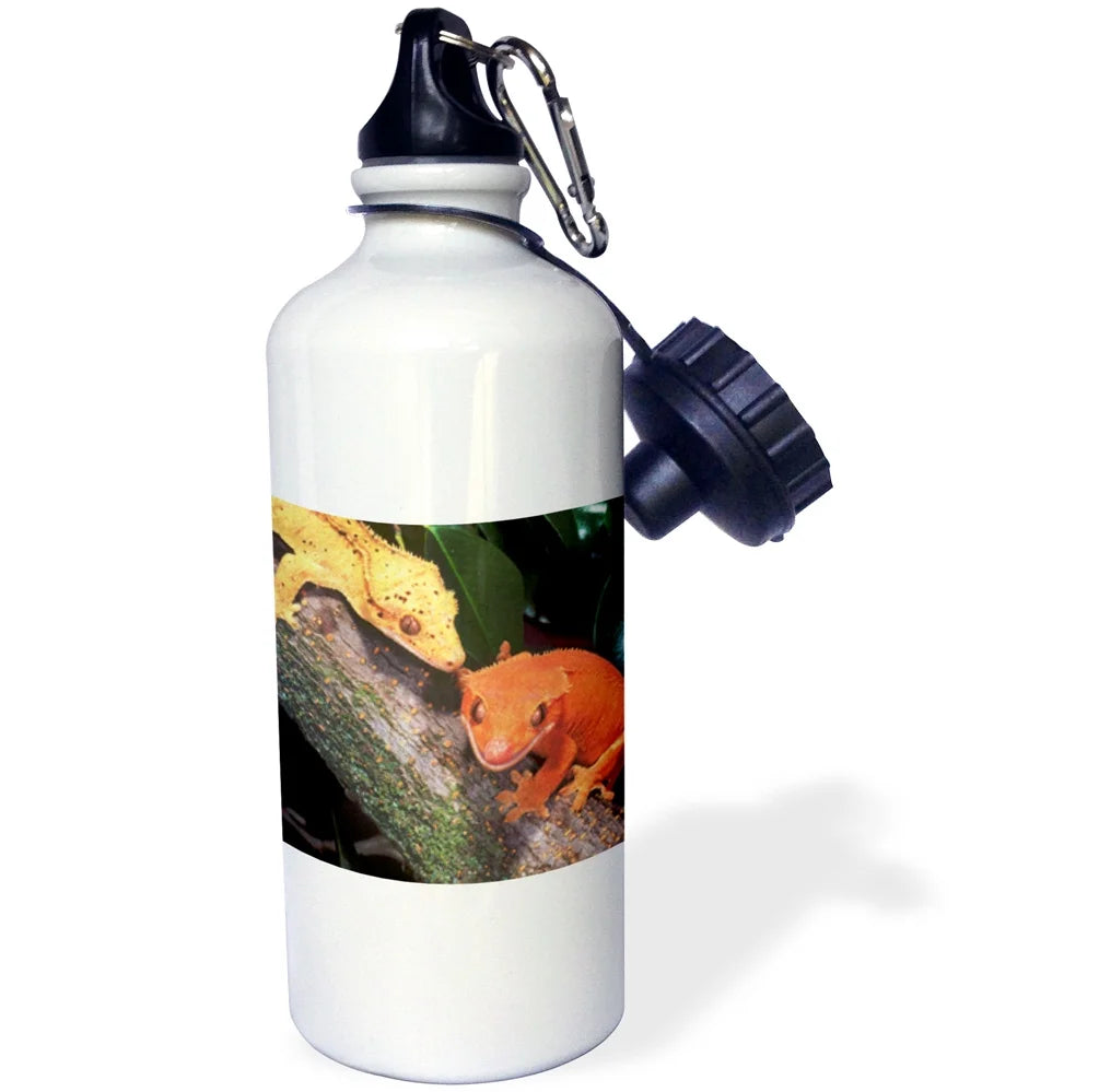 Straw Water Bottle, 21-ounce E46487
