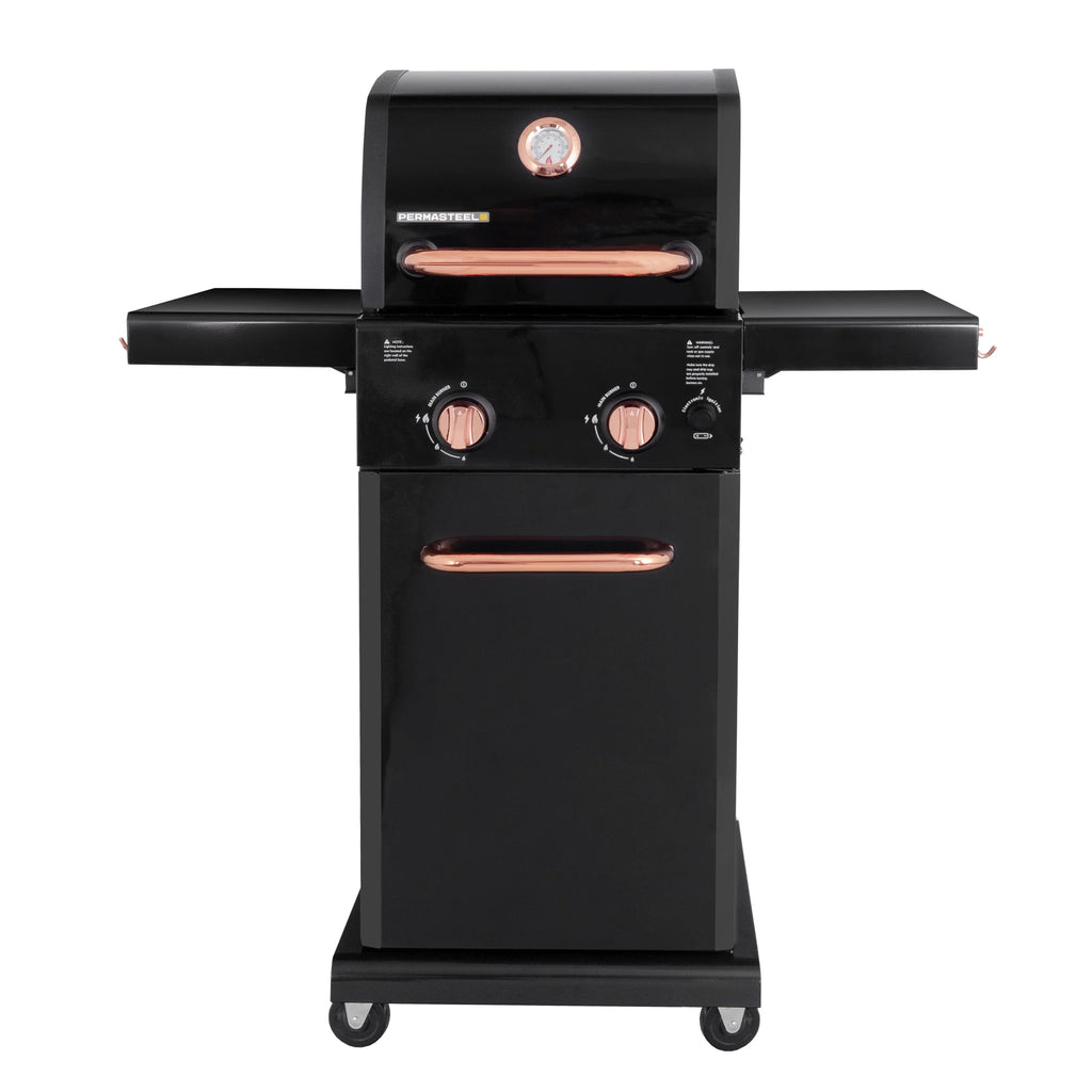 Black 2-Burner Compact Propane Gas Grill with Foldable Sides Q3352