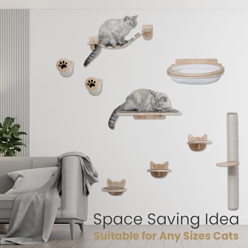 9 Piece Rubber Wood Cat Wall Shelves & Furniture Set X74955