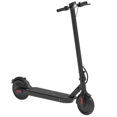 Electric Scooter with 700W Brushless Dual Motor R744